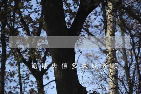 逾期失信多久成老赖 逾期失信多久成老赖