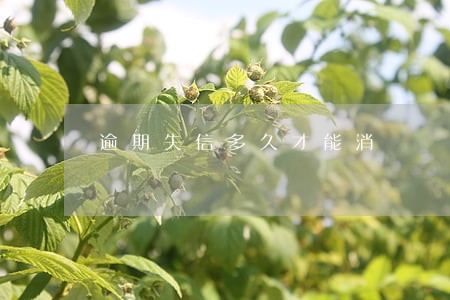 逾期失信多久才能消 逾期失信多久才能消