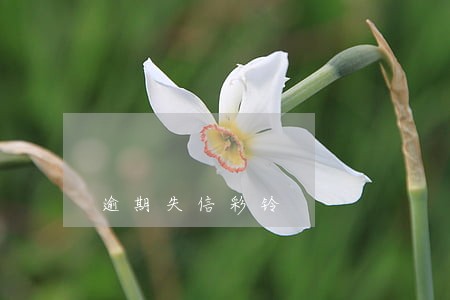 逾期失信彩铃 逾期失信彩铃