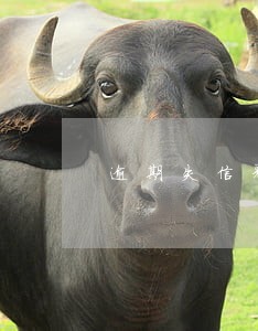 逾期失信彩铃设置 逾期失信彩铃设置