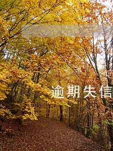 逾期失信影响医保 逾期失信影响医保