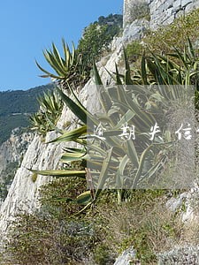 逾期失信影响孩子吗 逾期失信影响孩子吗