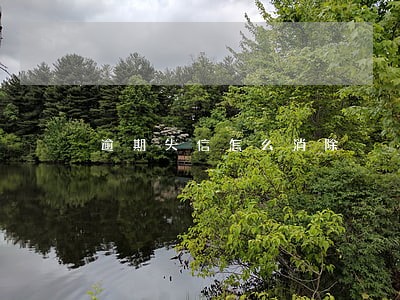 逾期失信怎么消除 逾期失信怎么消除