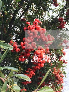 逾期失信有多严重 逾期失信有多严重