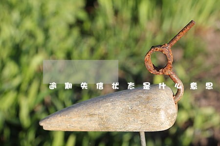 逾期失信状态是什么意思 逾期失信状态是什么意思