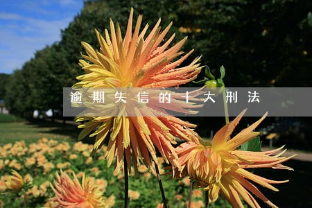 逾期失信的十大刑法 逾期失信的十大刑法