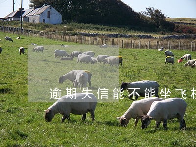 逾期失信能不能坐飞机 逾期失信能不能坐飞机