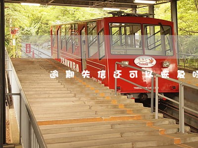 逾期失信还可以恢复吗 逾期失信还可以恢复吗