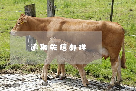 逾期失信邮件 逾期失信邮件