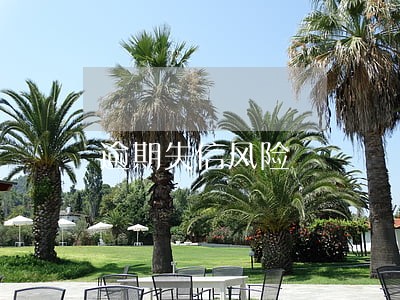 逾期失信风险 逾期失信风险