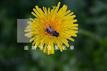 逾期失信黑名单 逾期失信黑名单