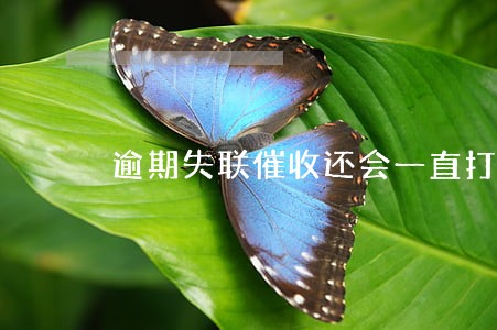 逾期失联催收还会一直打电话吗 逾期失联催收还会一直打电话吗