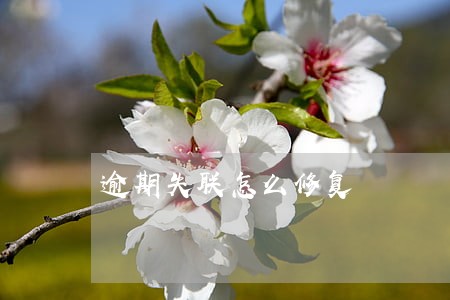 逾期失联怎么修复 逾期失联怎么修复