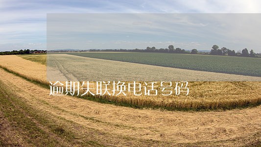 逾期失联换电话号码 逾期失联换电话号码