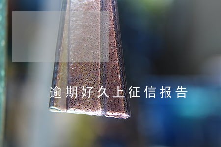 逾期好久上征信报告 逾期好久上征信报告