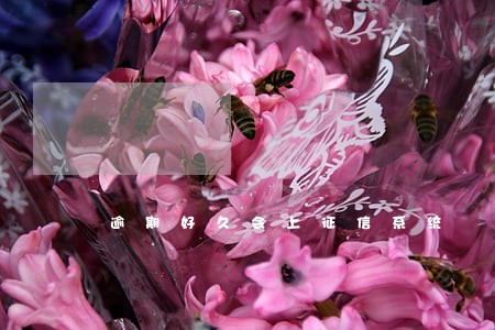 逾期好久会上征信系统