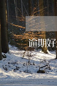 逾期好久会限制高消费 逾期好久会限制高消费