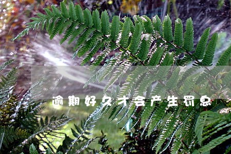 逾期好久才会产生罚息 逾期好久才会产生罚息