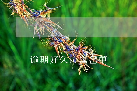 逾期好久拉黑名单 逾期好久拉黑名单