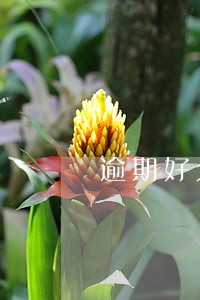 逾期好久没还款没进黑名单 逾期好久没还款没进黑名单