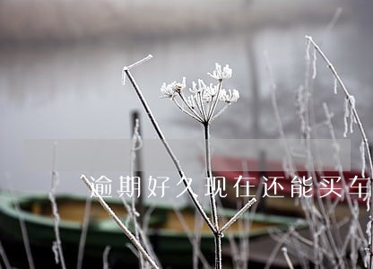 逾期好久现在还能买车吗 逾期好久现在还能买车吗