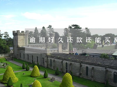 逾期好久还款还能买房吗