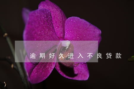 逾期好久进入不良贷款