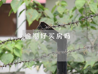 逾期好买房吗