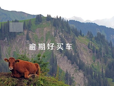 逾期好买车 逾期好买车
