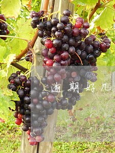 逾期好几个口子 逾期好几个口子