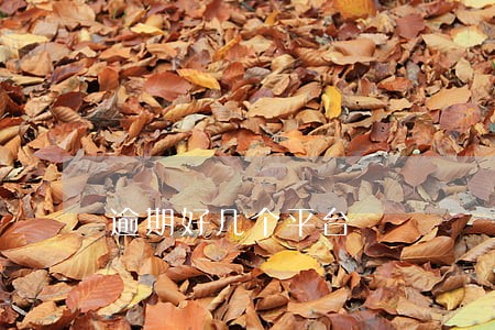逾期好几个平台 逾期好几个平台
