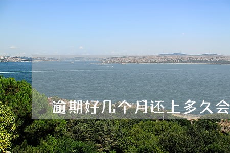 逾期好几个月还上多久会消除 逾期好几个月还上多久会消除