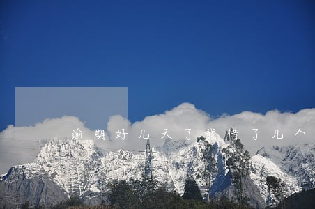 逾期好几天了我借了几个网贷 逾期好几天了我借了几个网贷