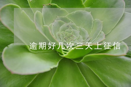 逾期好几次三天上征信 逾期好几次三天上征信