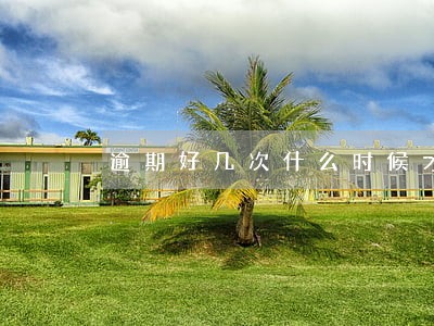 逾期好几次什么时候才能恢复信用 逾期好几次什么时候才能恢复信用