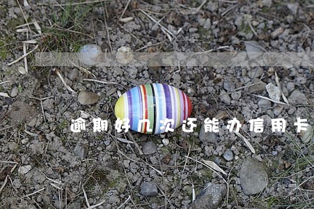 逾期好几次还能办信用卡吗 逾期好几次还能办信用卡吗