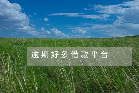 逾期好多借款平台 逾期好多借款平台