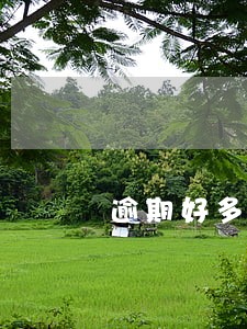 逾期好多催款信息 逾期好多催款信息