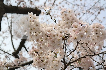 逾期好多年可以打电话分期还款吗 逾期好多年可以打电话分期还款吗