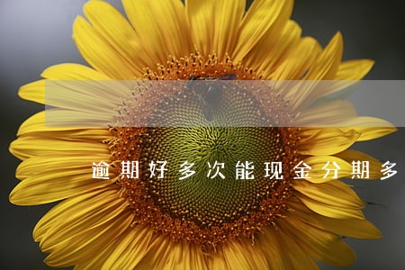 逾期好多次能现金分期多久到账 逾期好多次能现金分期多久到账