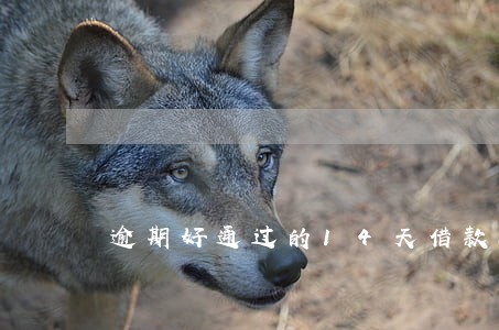 逾期好通过的14天借款app 逾期好通过的14天借款app