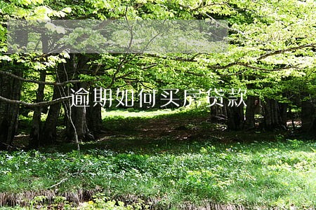 逾期如何买房贷款 逾期如何买房贷款