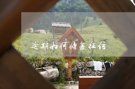 逾期如何修复征信 逾期如何修复征信