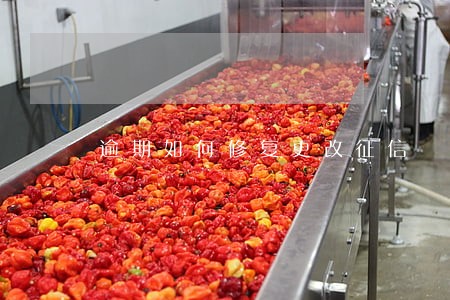 逾期如何修复更改征信 逾期如何修复更改征信