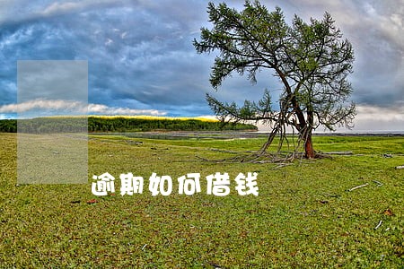 逾期如何借钱 逾期如何借钱