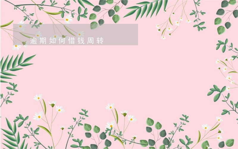 逾期如何借钱周转 逾期如何借钱周转