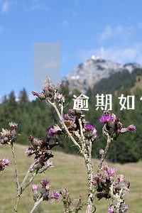 逾期如何催款 逾期如何催款