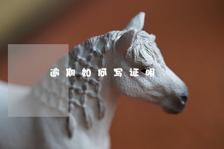 逾期如何写证明 逾期如何写证明