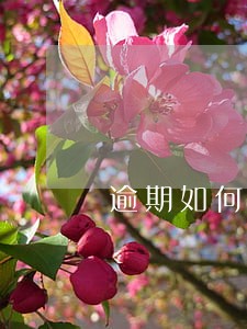 逾期如何减免 逾期如何减免