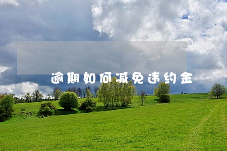 逾期如何减免违约金 逾期如何减免违约金